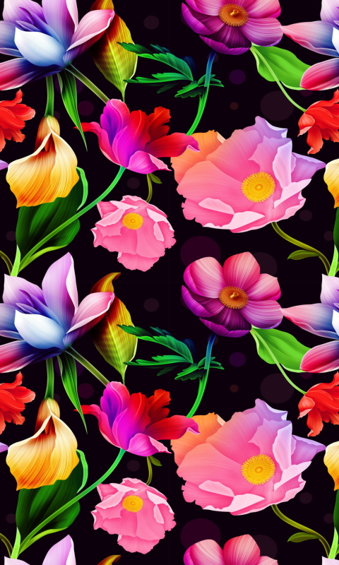Colorful Flowers wallpaper 480x800
