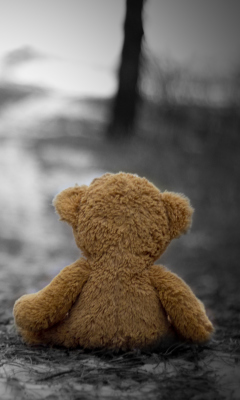 Das Lonely Bear Wallpaper 240x400