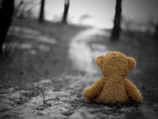 Lonely Bear wallpaper 320x240