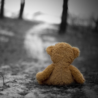 Lonely Bear sfondi gratuiti per 1024x1024