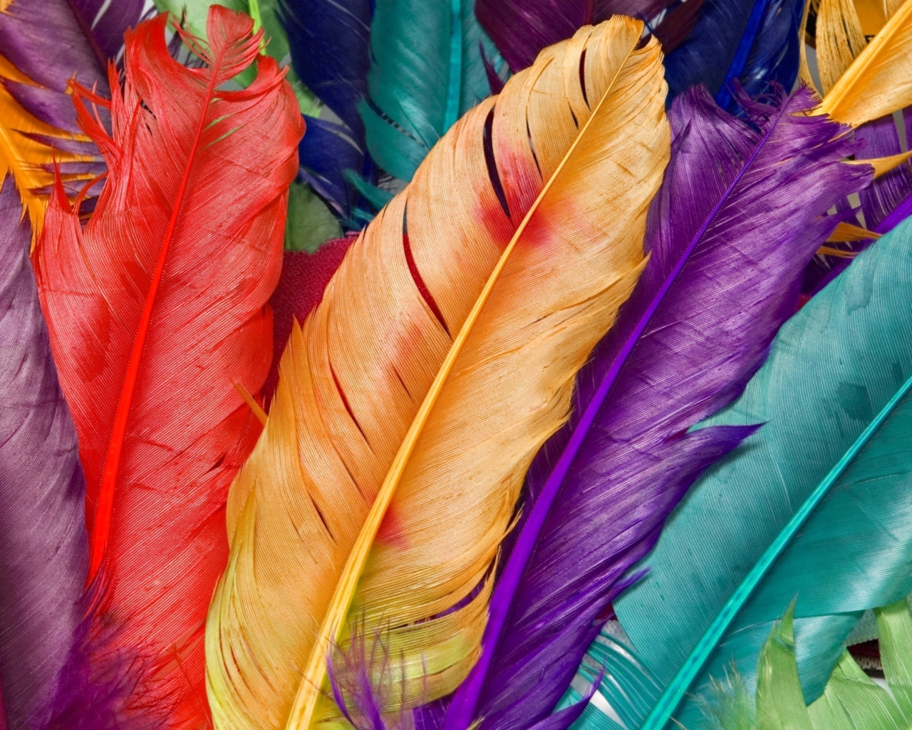 Das Colored Feathers Wallpaper 1280x1024