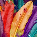 Fondo de pantalla Colored Feathers 128x128