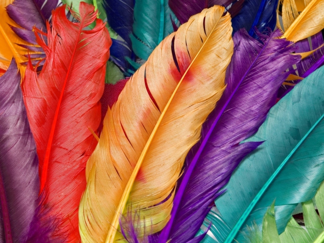 Fondo de pantalla Colored Feathers 640x480