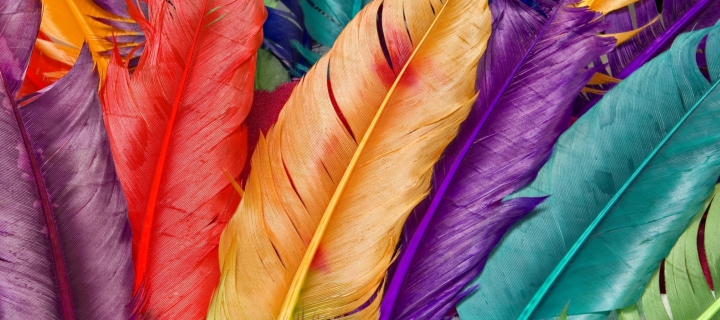 Colored Feathers wallpaper 720x320
