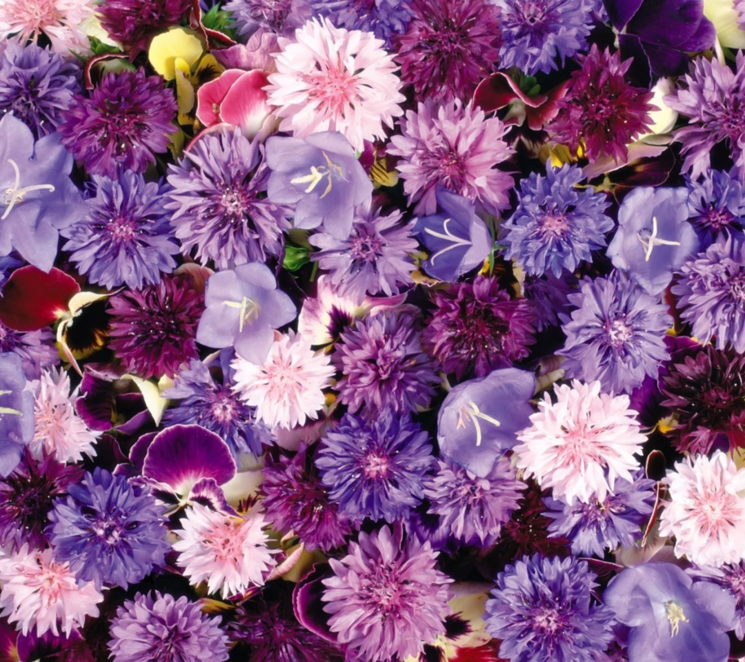 Fondo de pantalla Floral Carpet 1080x960