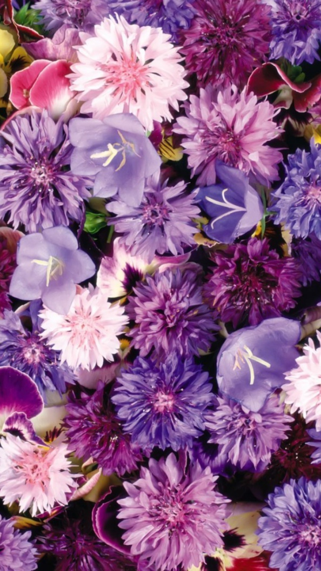 Floral Carpet wallpaper 640x1136