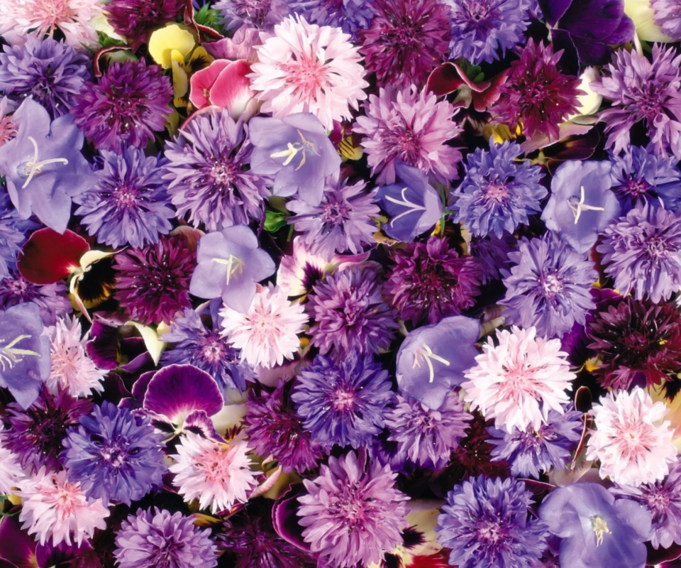 Sfondi Floral Carpet 960x800