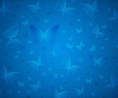 Fondo de pantalla Blue Butterflies 480x400