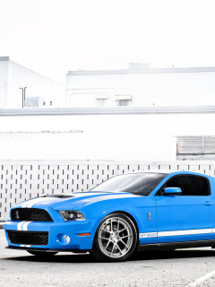 Screenshot №1 pro téma Ford Mustang Shelby Cobra Gt 500 240x320