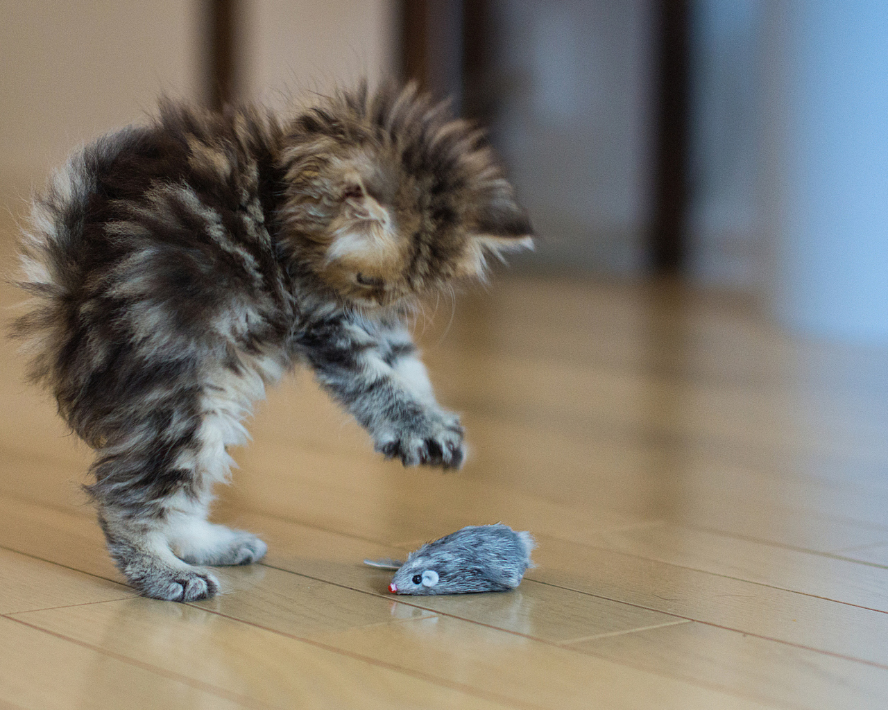Funny Kitten Playing With Toy Mouse wallpaper 1280x1024