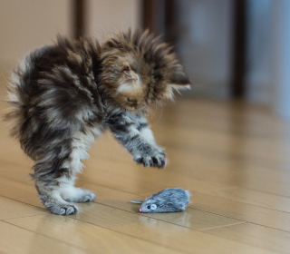 Funny Kitten Playing With Toy Mouse papel de parede para celular para iPad