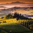Field In Italy Toscana wallpaper 128x128