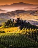 Field In Italy Toscana wallpaper 128x160
