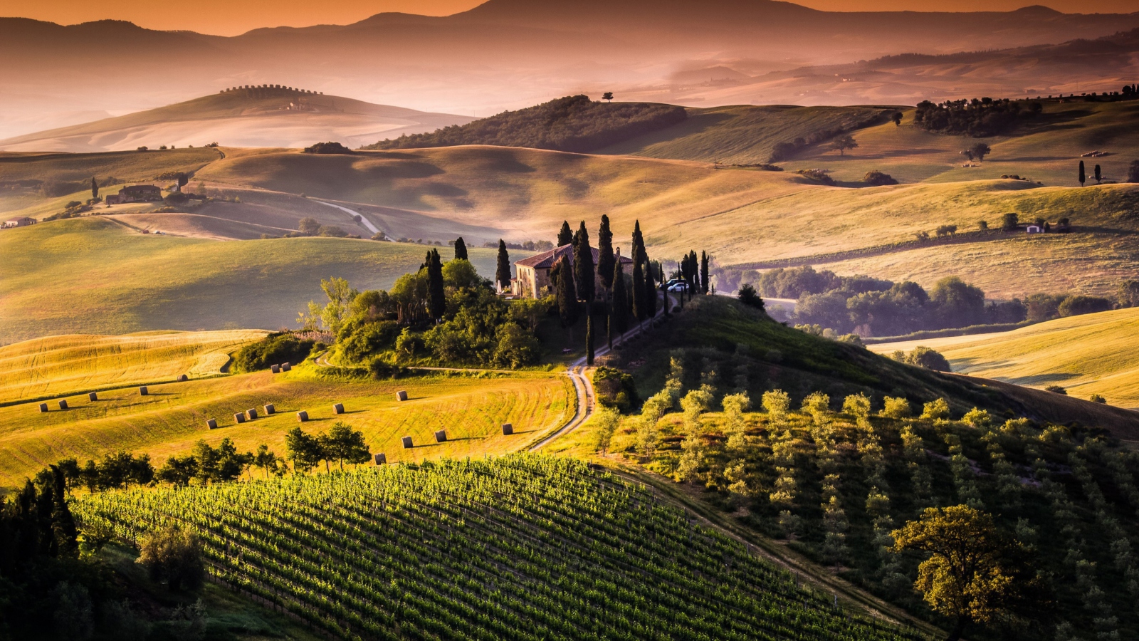 Field In Italy Toscana screenshot #1 1600x900