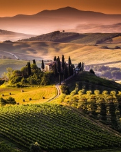 Fondo de pantalla Field In Italy Toscana 176x220