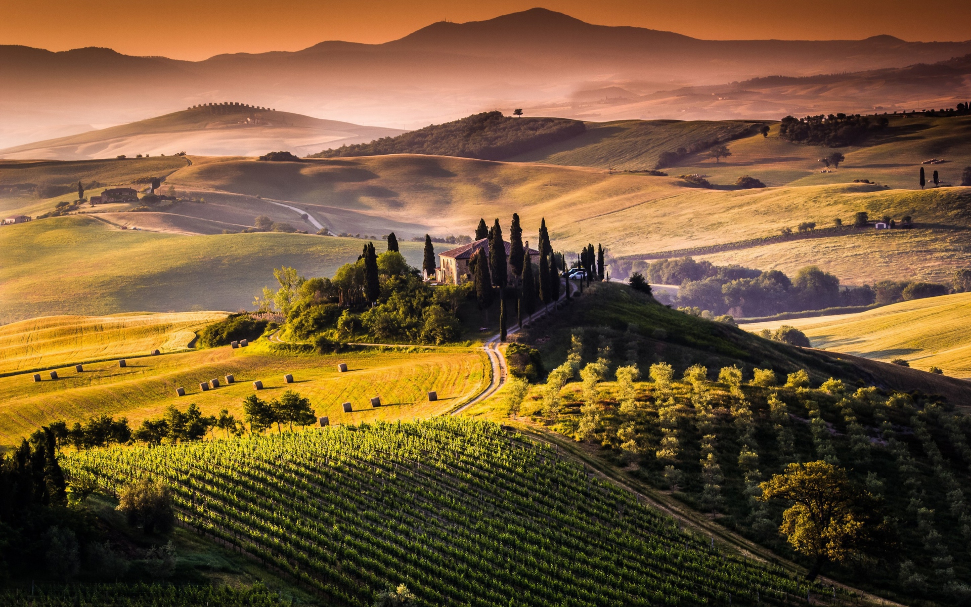 Fondo de pantalla Field In Italy Toscana 1920x1200