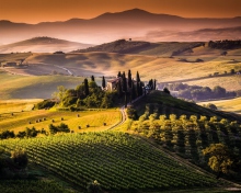 Das Field In Italy Toscana Wallpaper 220x176