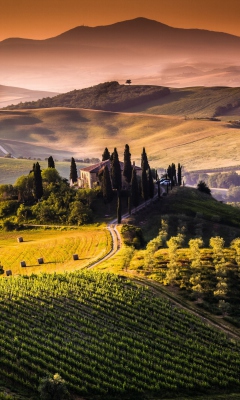 Das Field In Italy Toscana Wallpaper 240x400