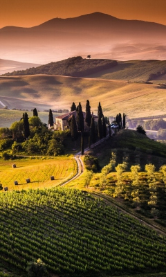 Sfondi Field In Italy Toscana 240x400