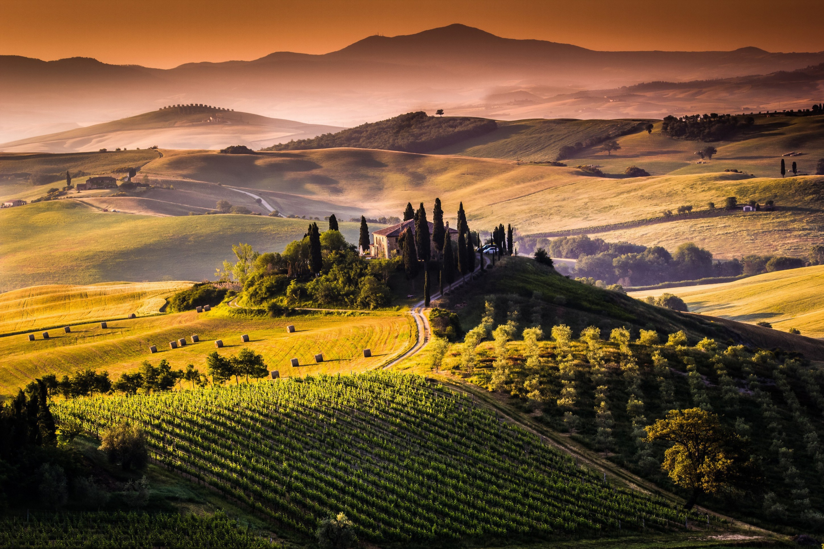 Das Field In Italy Toscana Wallpaper 2880x1920
