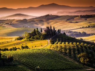 Field In Italy Toscana wallpaper 320x240