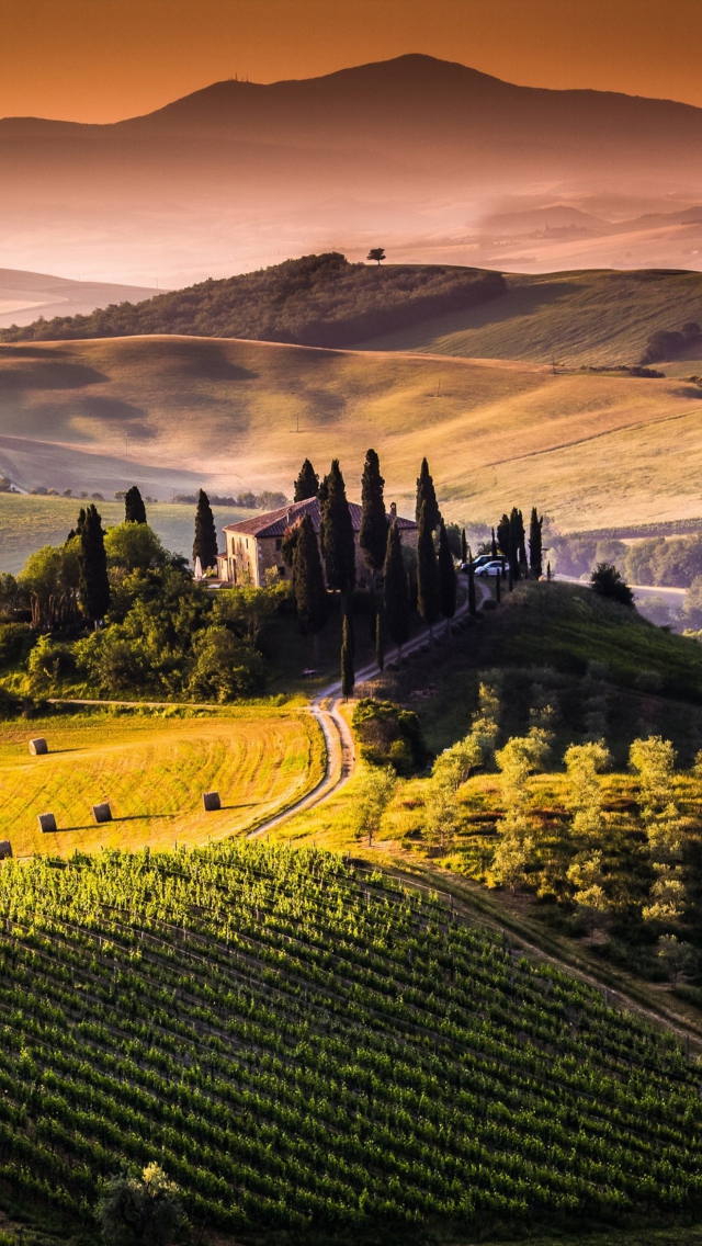 Field In Italy Toscana wallpaper 640x1136