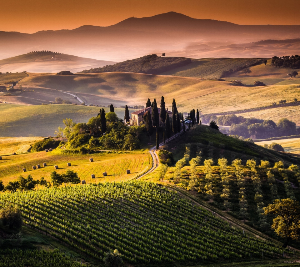 Field In Italy Toscana wallpaper 960x854