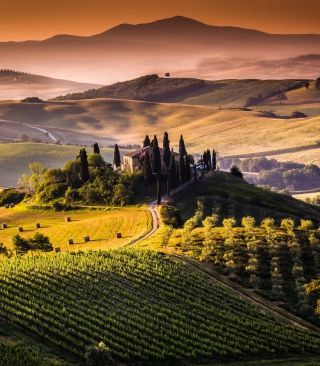 Field In Italy Toscana sfondi gratuiti per Samsung Dash