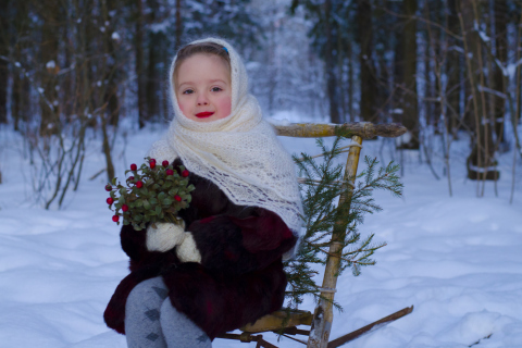 Little Girl In Winter Outfit wallpaper 480x320