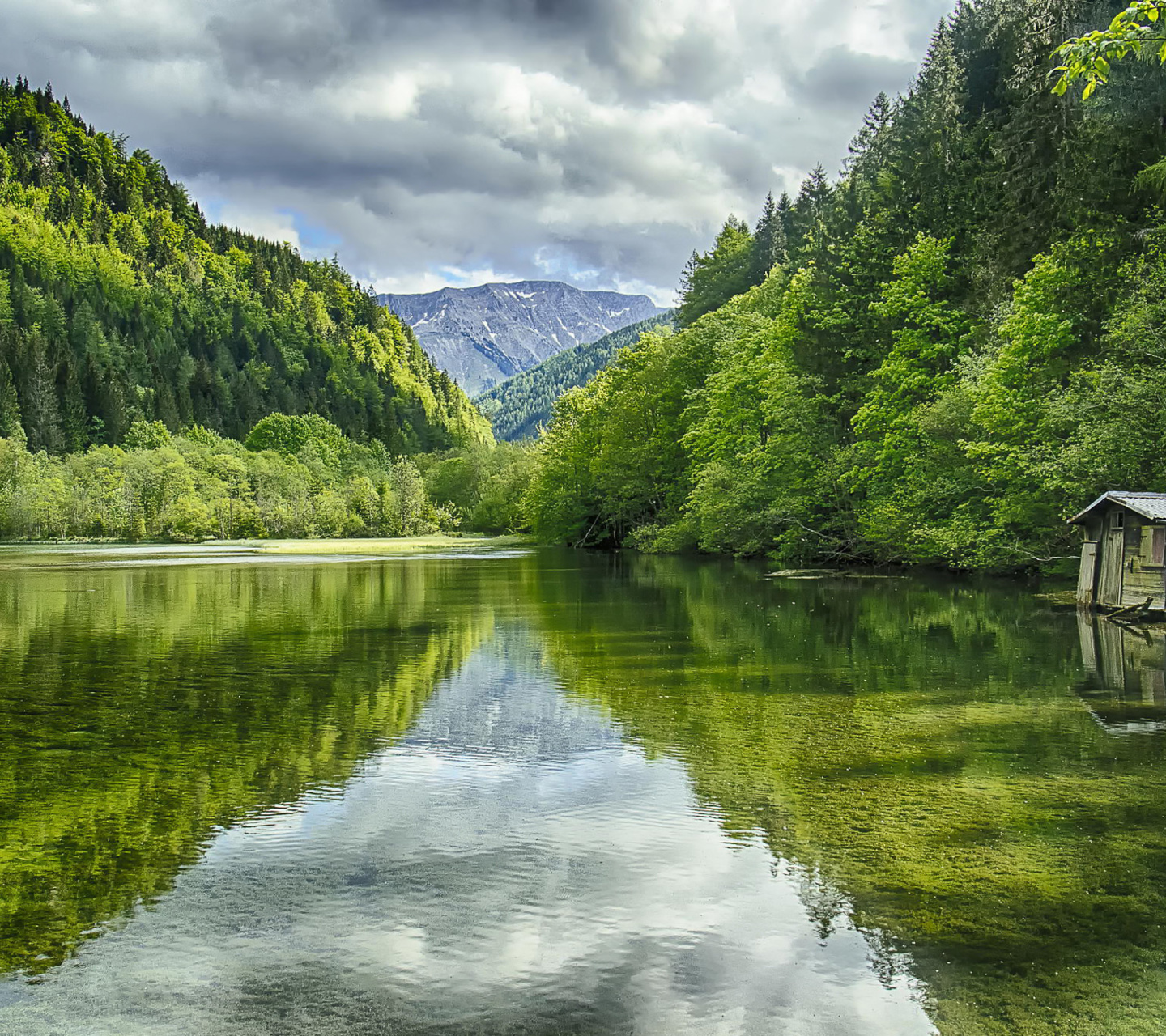 Sfondi Shine on Green Lake, Austria 1440x1280