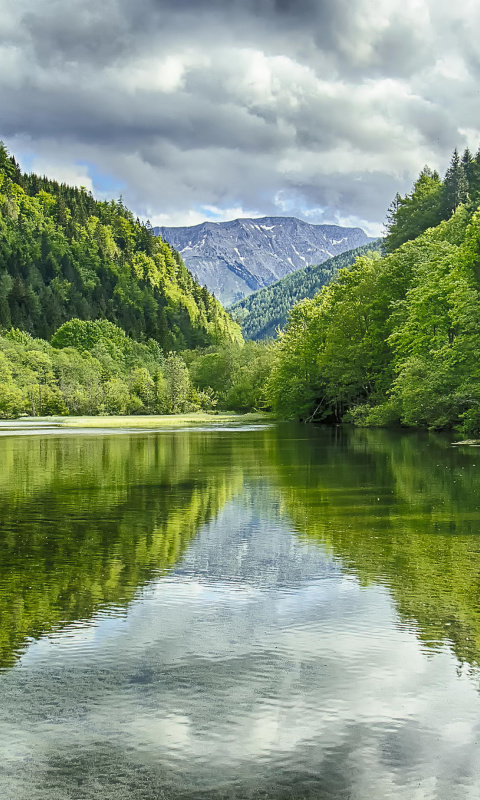 Das Shine on Green Lake, Austria Wallpaper 480x800