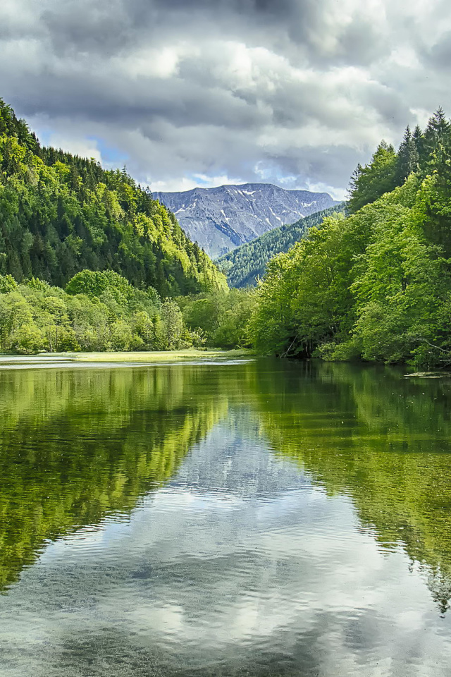 Обои Shine on Green Lake, Austria 640x960