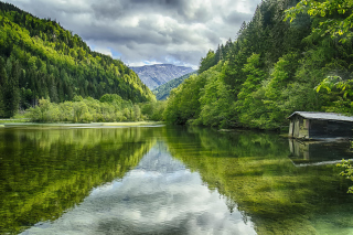 Картинка Shine on Green Lake, Austria для Android
