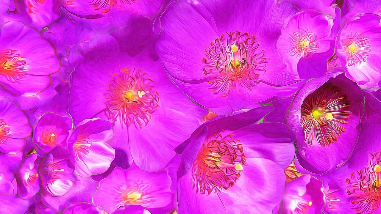 Drawn Purple Flowers wallpaper 1280x720