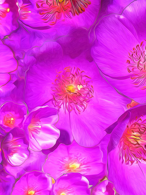 Screenshot №1 pro téma Drawn Purple Flowers 480x640