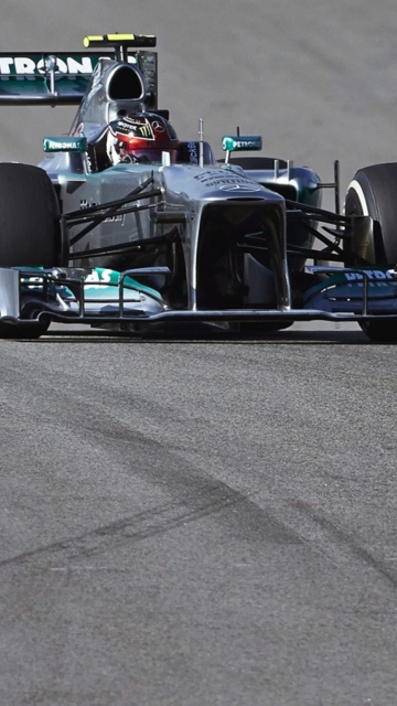 Brazilian Grand Prix - Formula 1 screenshot #1 360x640