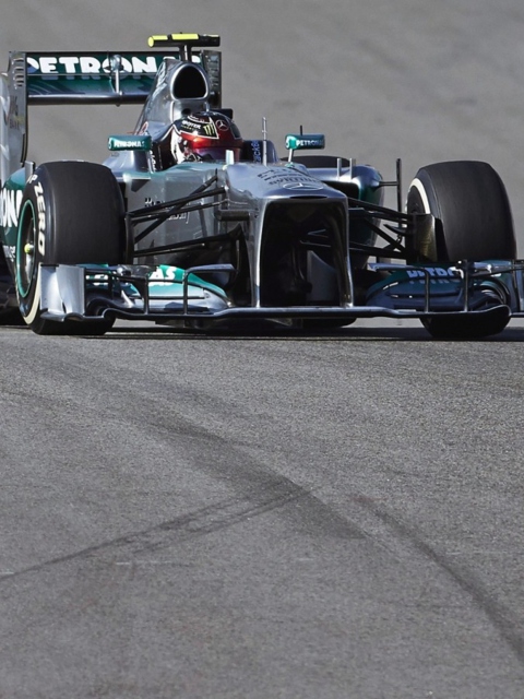 Fondo de pantalla Brazilian Grand Prix - Formula 1 480x640