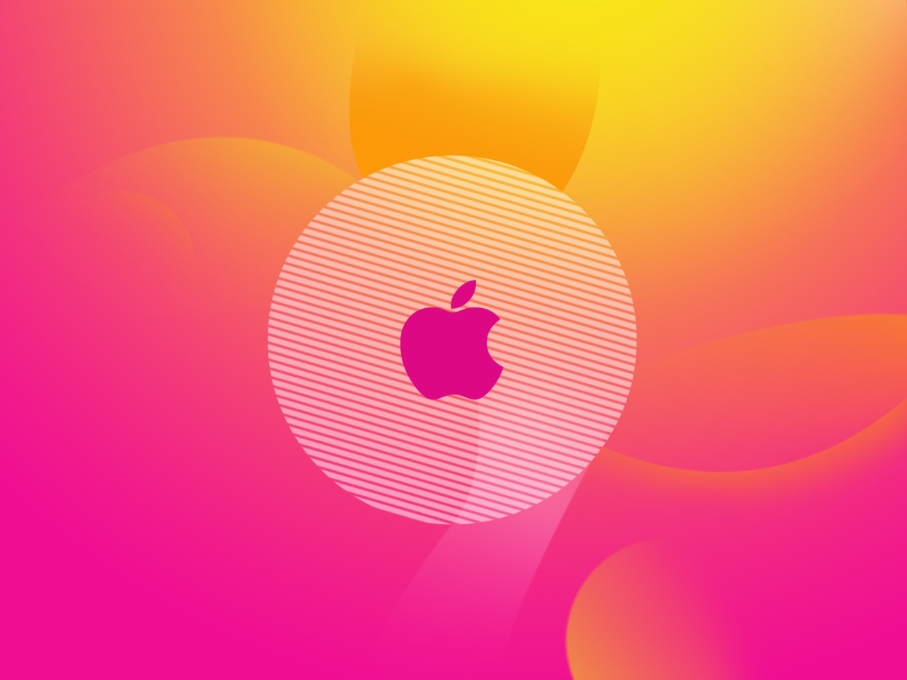 Fondo de pantalla Pinky Apple Logo 1280x960