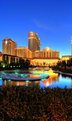 Das Caesars Palace Las Vegas Hotel Wallpaper 240x400