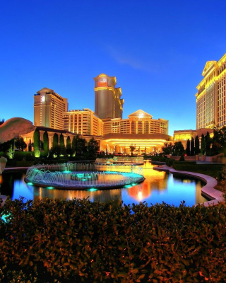 Caesars Palace Las Vegas Hotel Background for 240x320