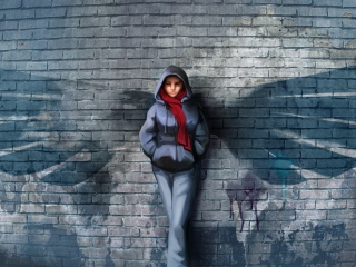 Обои Red Scarf And Brick Wall 320x240