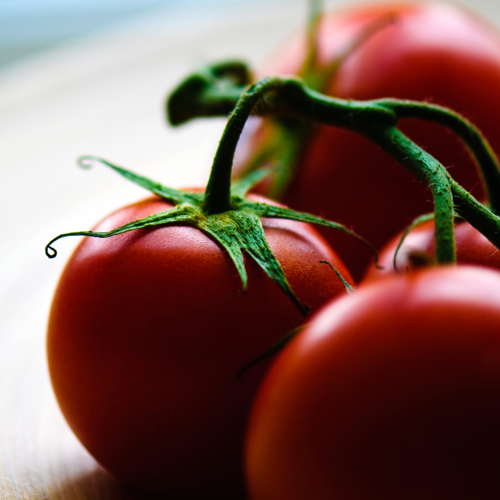 Das Tomatoes - Tomates Wallpaper 1024x1024