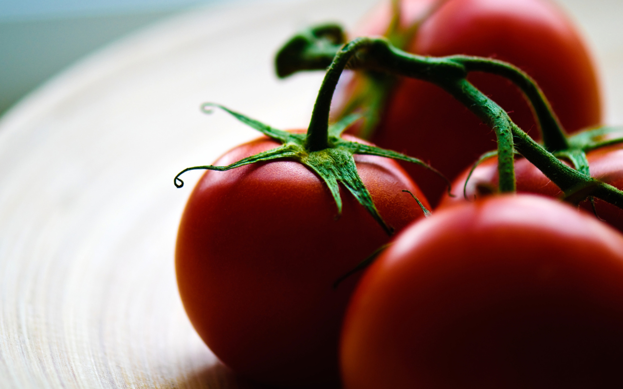 Tomatoes - Tomates screenshot #1 1280x800