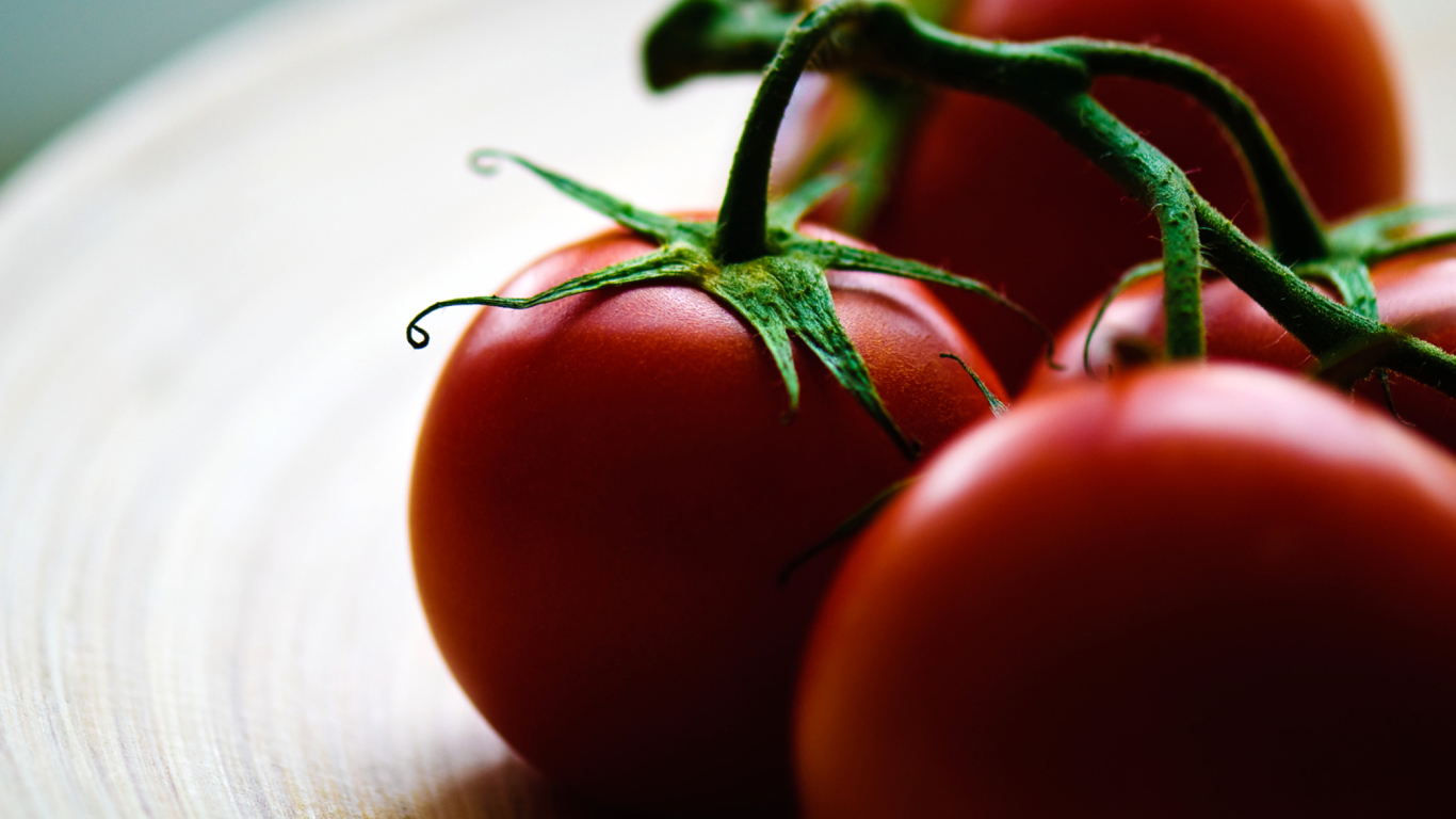 Sfondi Tomatoes - Tomates 1366x768