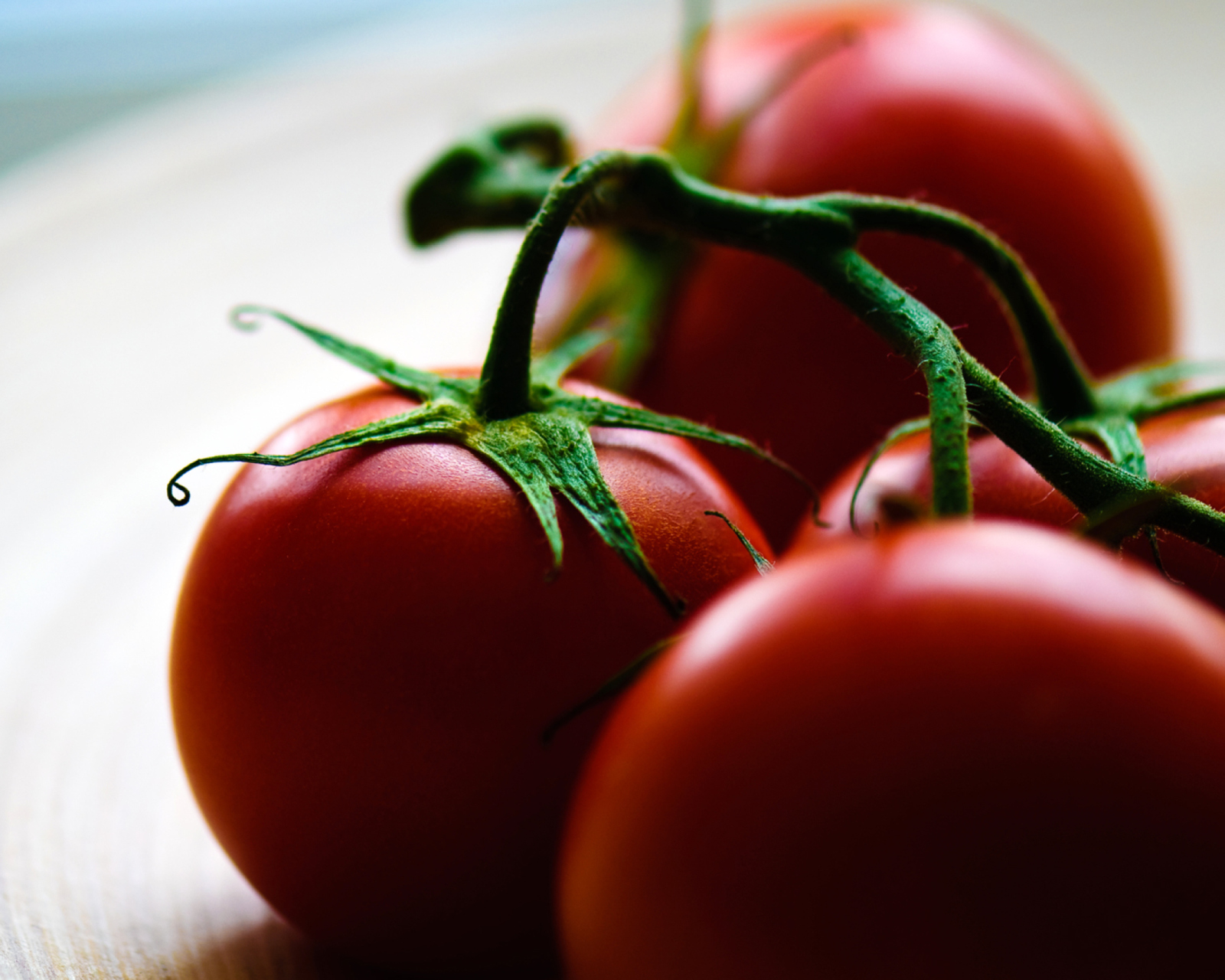 Tomatoes - Tomates screenshot #1 1600x1280