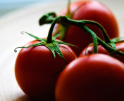 Das Tomatoes - Tomates Wallpaper 176x144