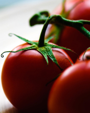 Das Tomatoes - Tomates Wallpaper 176x220