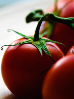 Fondo de pantalla Tomatoes - Tomates 240x320
