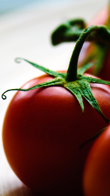 Tomatoes - Tomates wallpaper 360x640