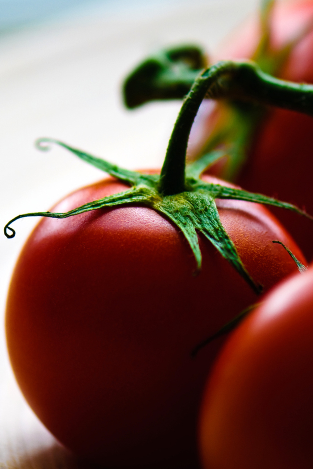 Das Tomatoes - Tomates Wallpaper 640x960